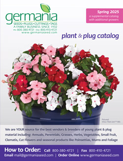 plantcover