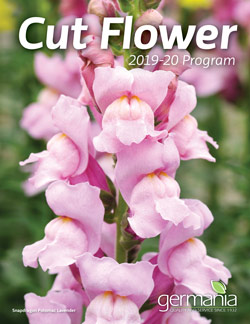 cut-flower-cover